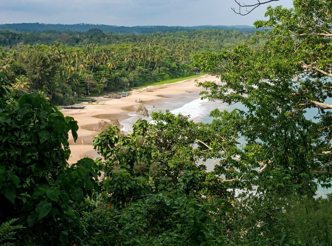 Freedom Resort主图