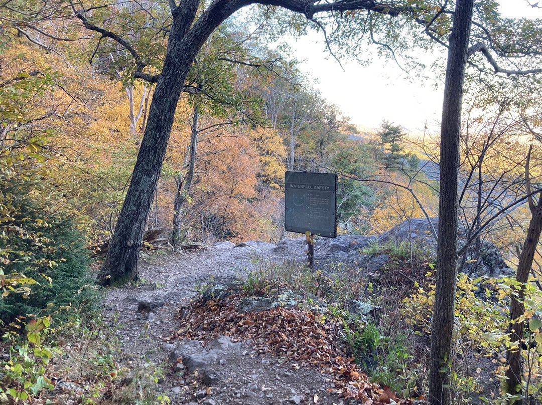 Lewis Falls Trail-雪兰多国家公园必去景点