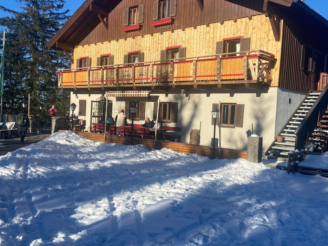 Halleiner Haus主图