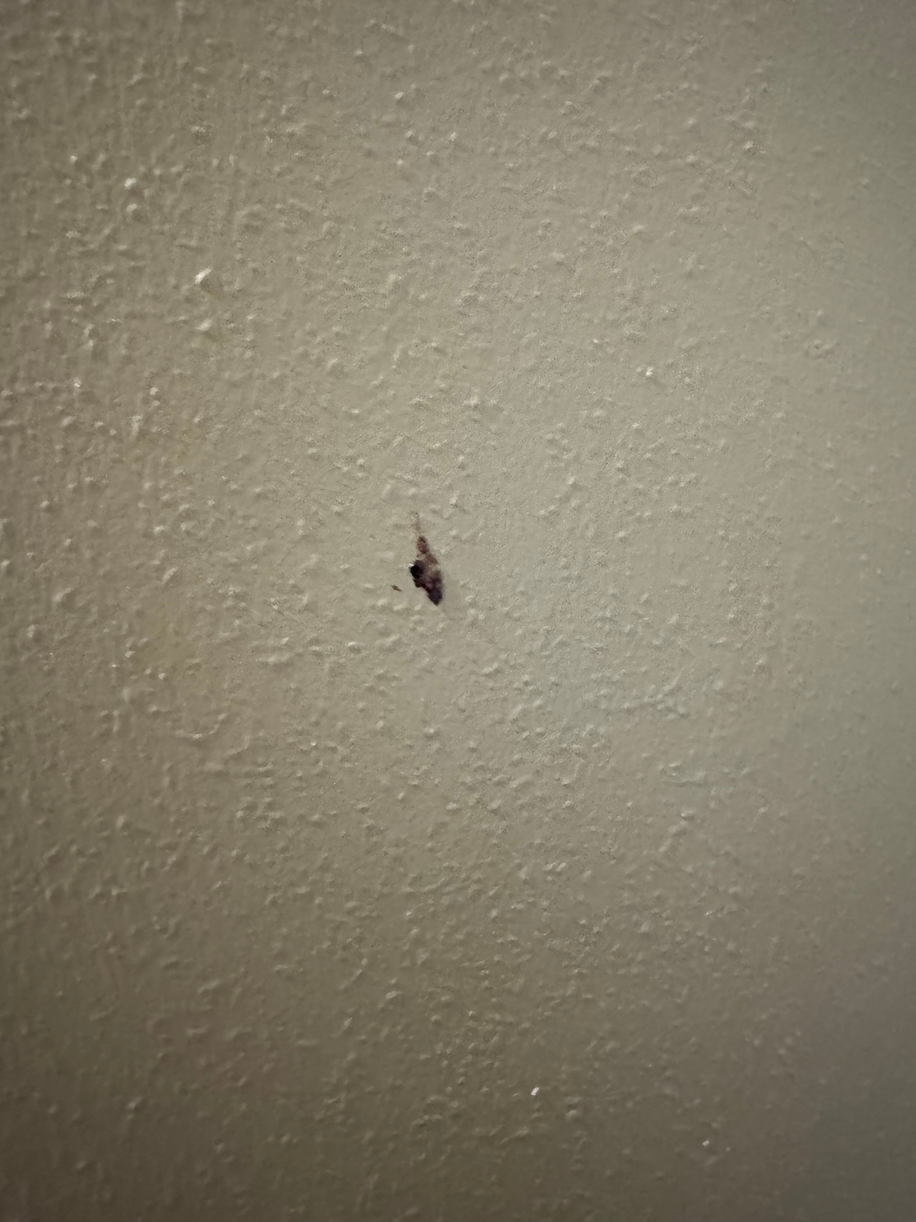 Quality Inn Alcoa Knoxville-客卧