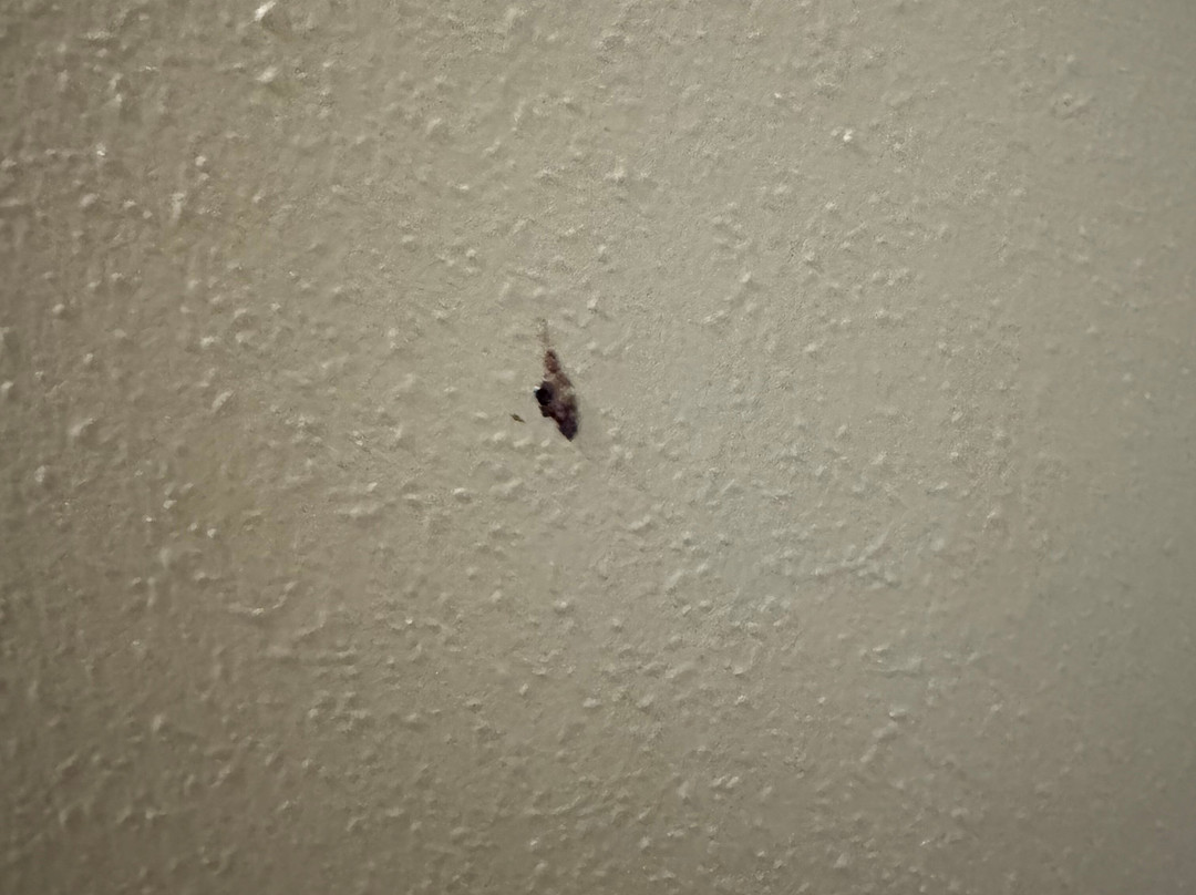 Quality Inn Alcoa Knoxville主图