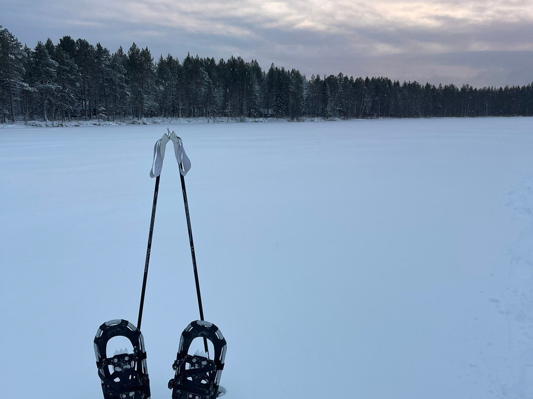 Vuosku Arctic Experiences景点图片