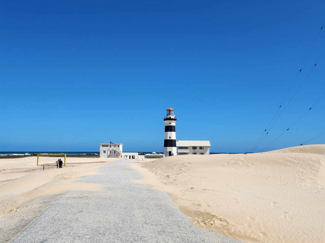 Umzantsi Afrika Tours-伊丽莎白港必去景点