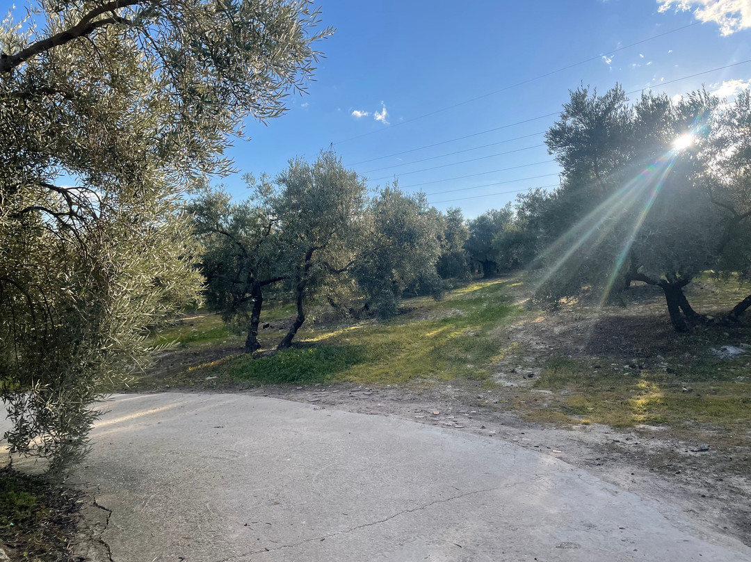 Restaurante el Patio