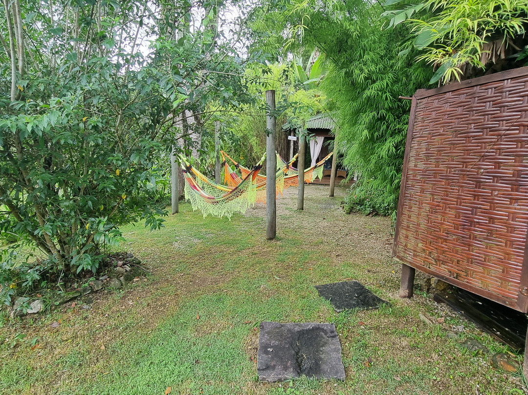 Bruxinhas do Mato-Sao Francisco Xavier必去景点