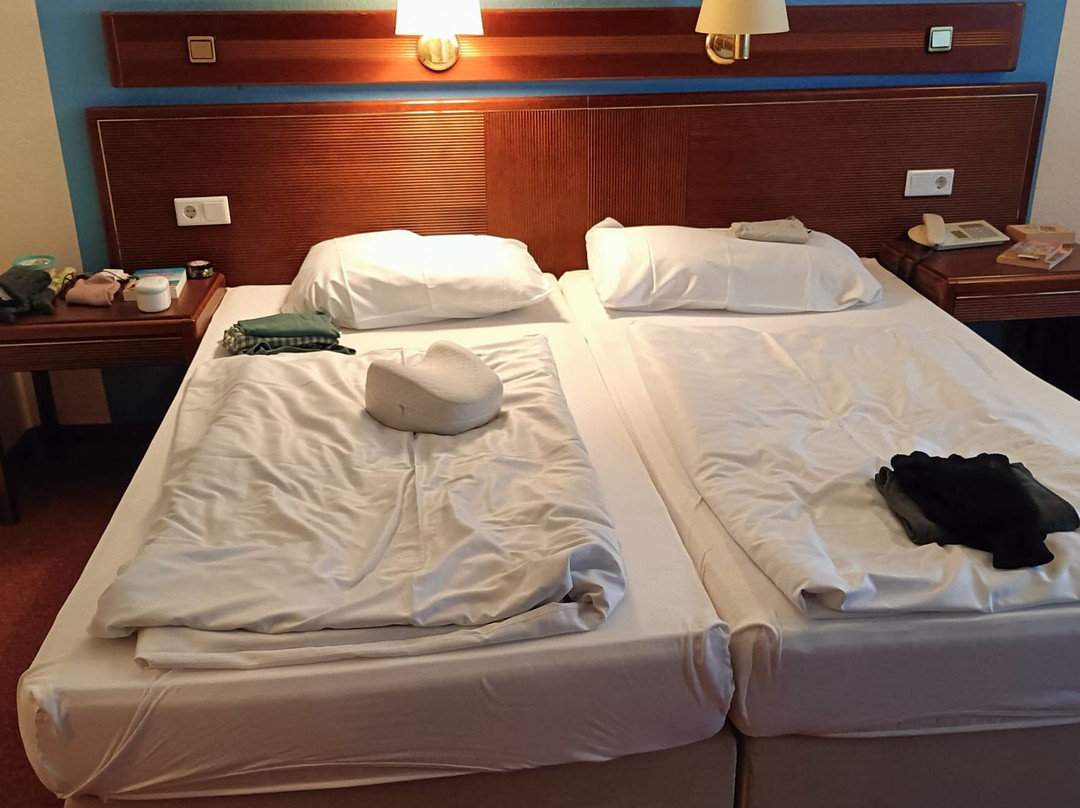 Sauerland Alpin Hotel主图