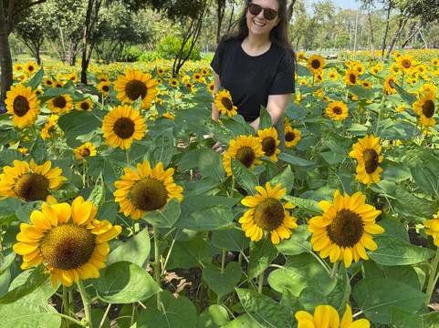 火车公园-曼谷必去景点