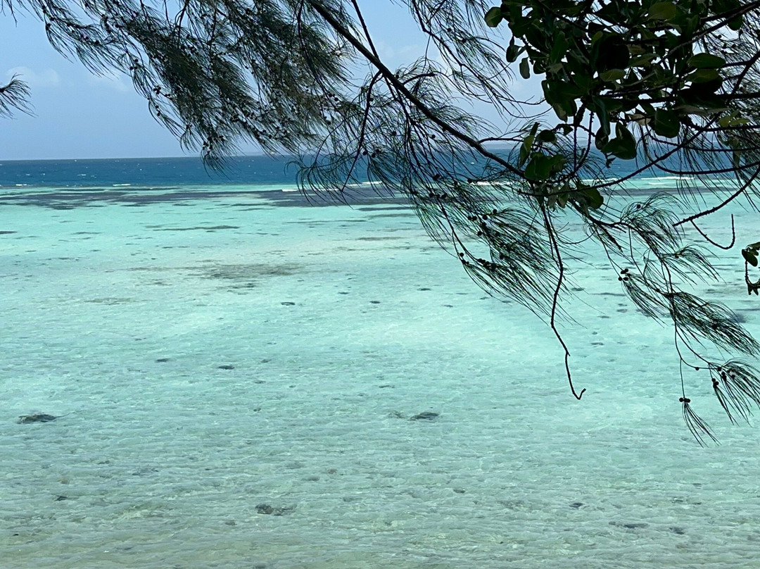 MAGICA ZANZIBAR景点图片