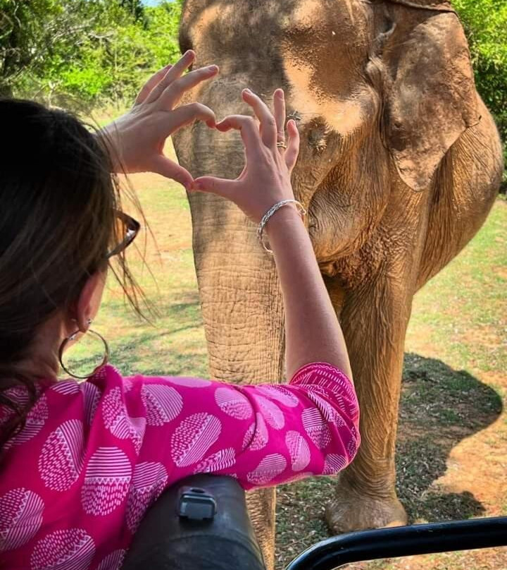 Elephant Safari Lodge