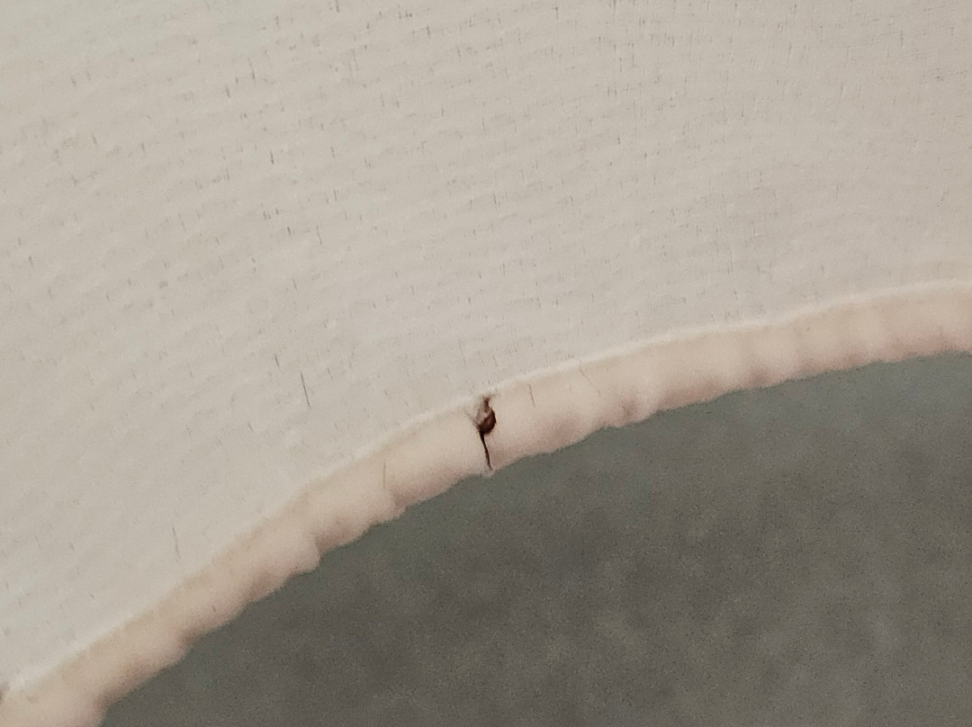 Travelodge Worthing Seafront主图