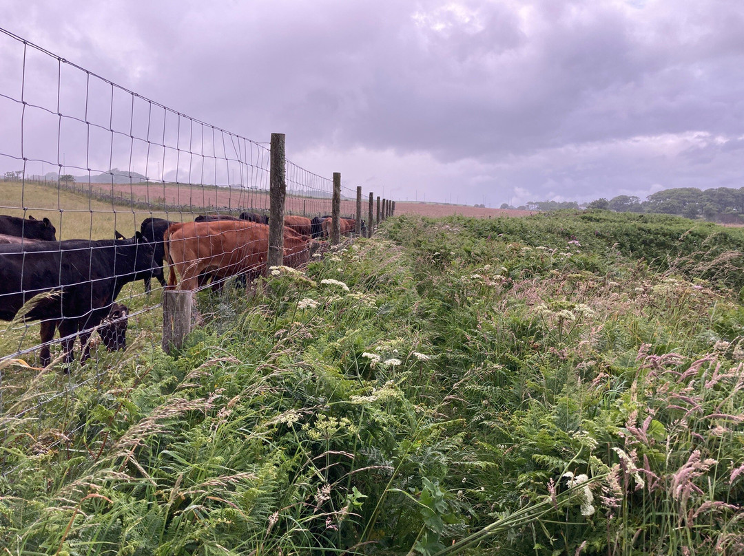 Toadhall Rooms主图