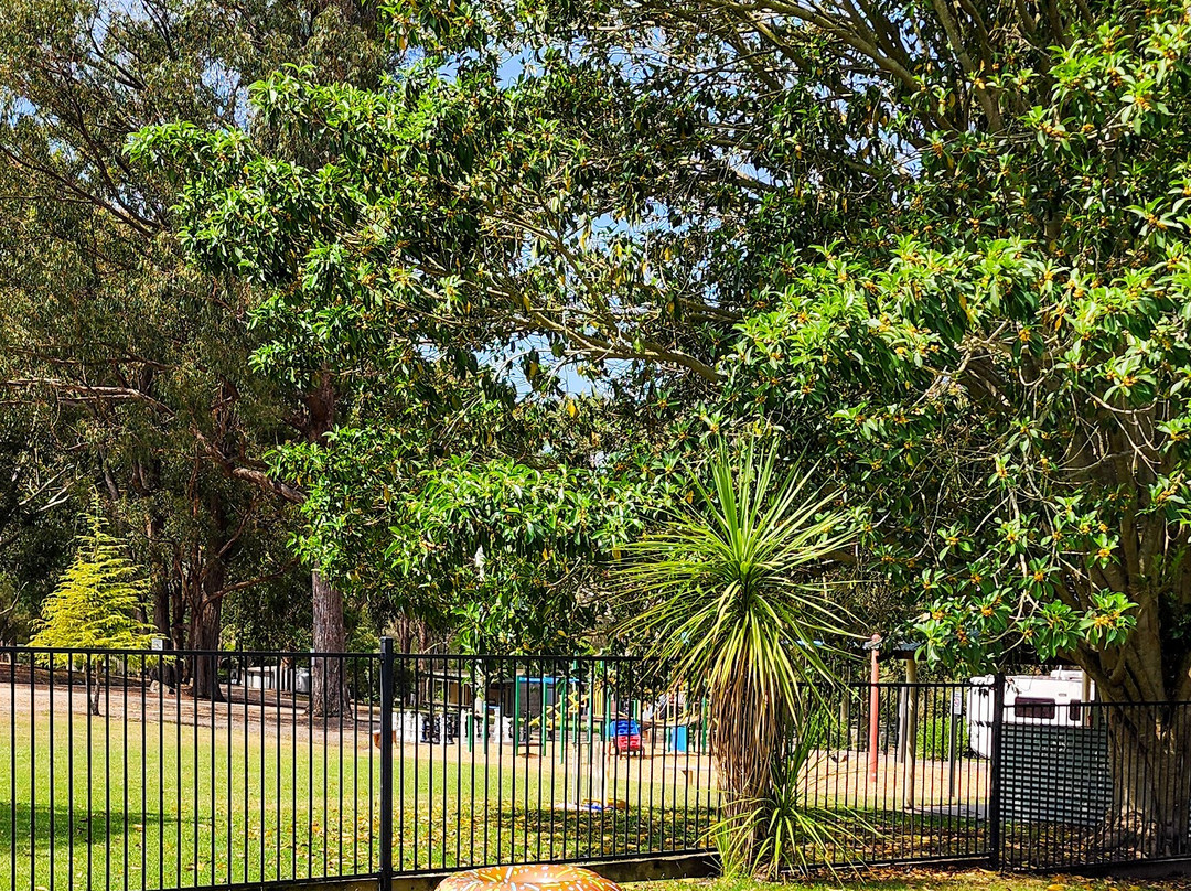 Nicholson Jetty-Nicholson必去景点