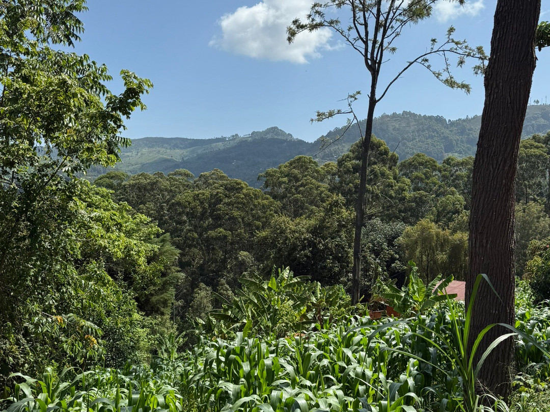 Shambaa Eco Tours-卢绍托必去景点