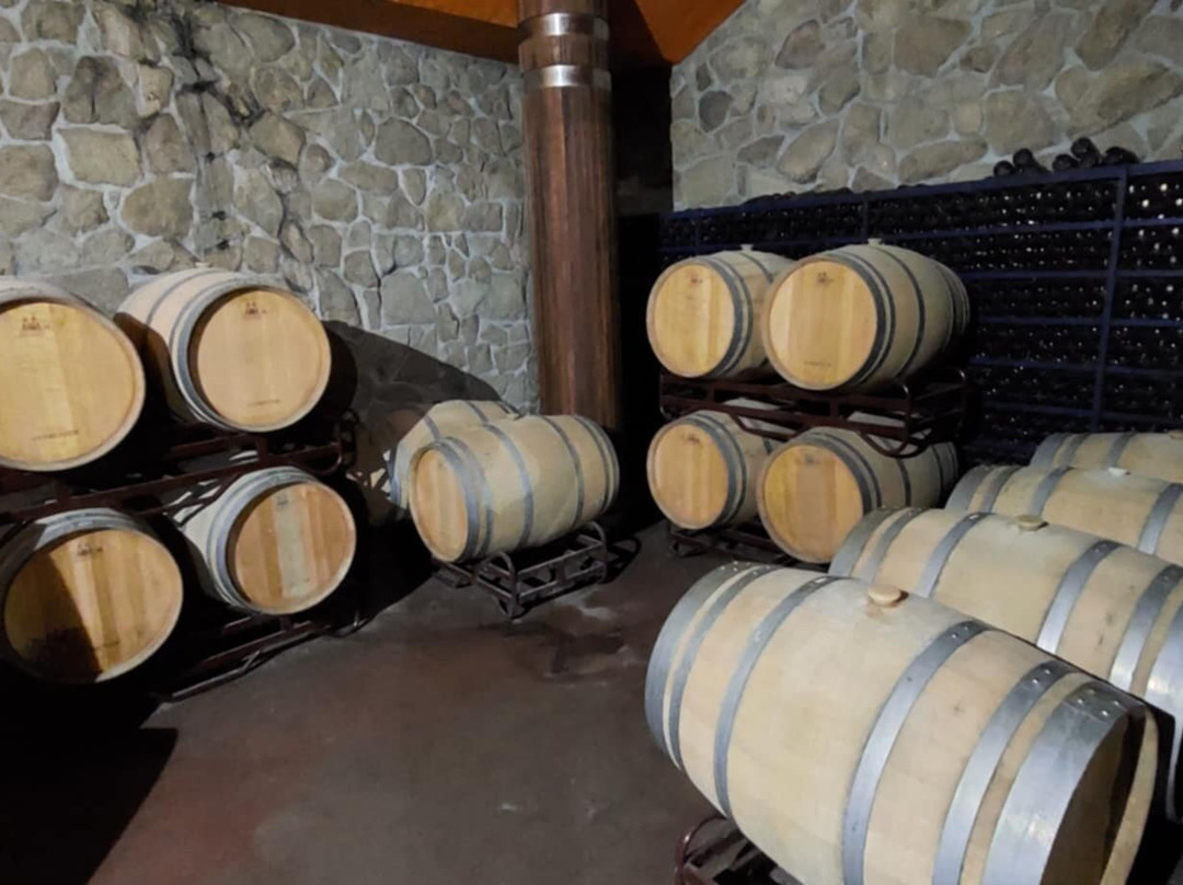 Bodegas Mar De Frades景点图片