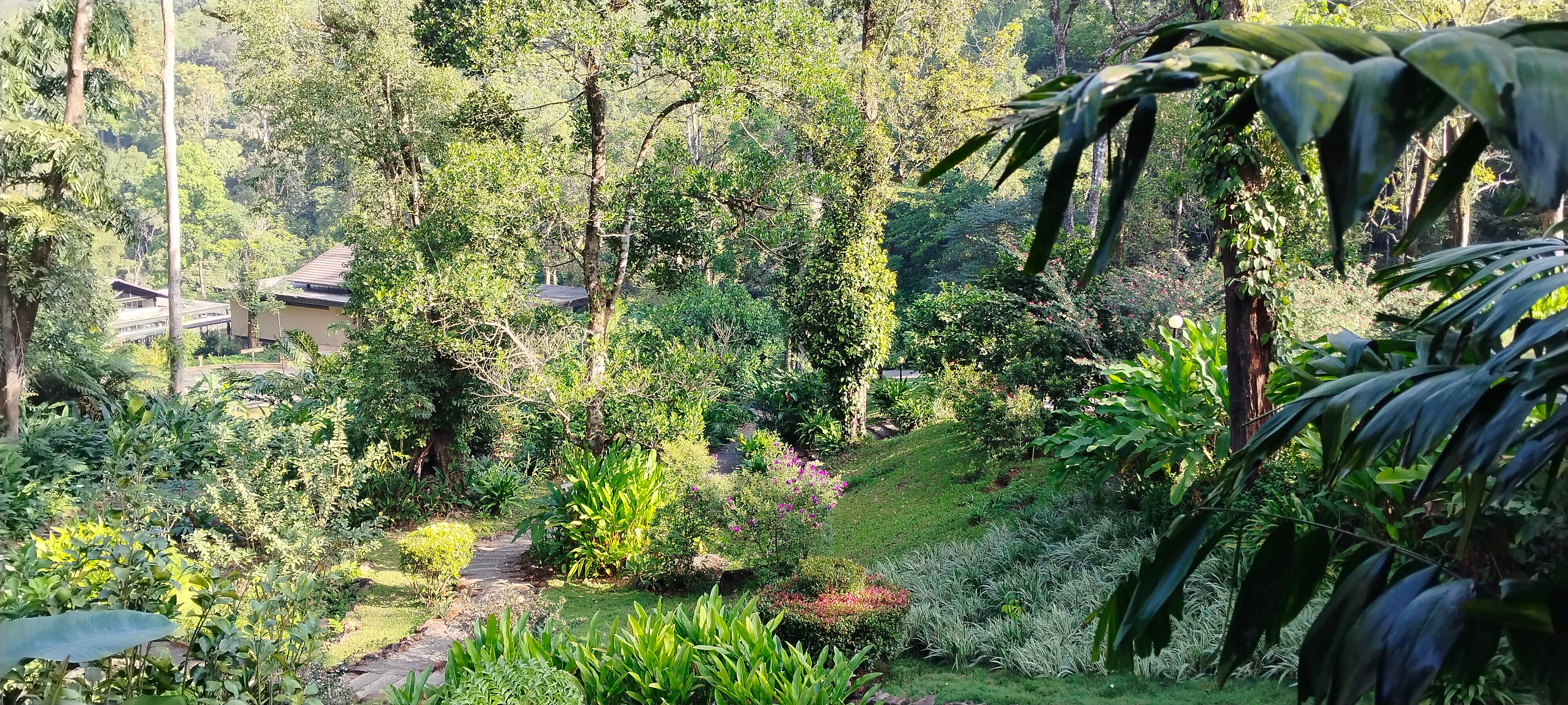 Ayatana Coorg-浴室