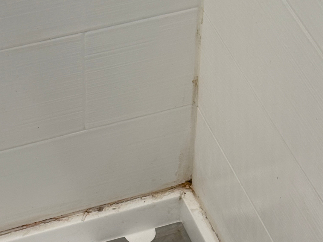 Holiday Inn Express & Suites Kinston By IHG主图