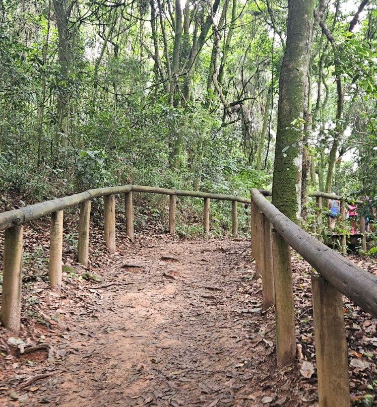 Pico Do Jaraguá-圣保罗必去景点