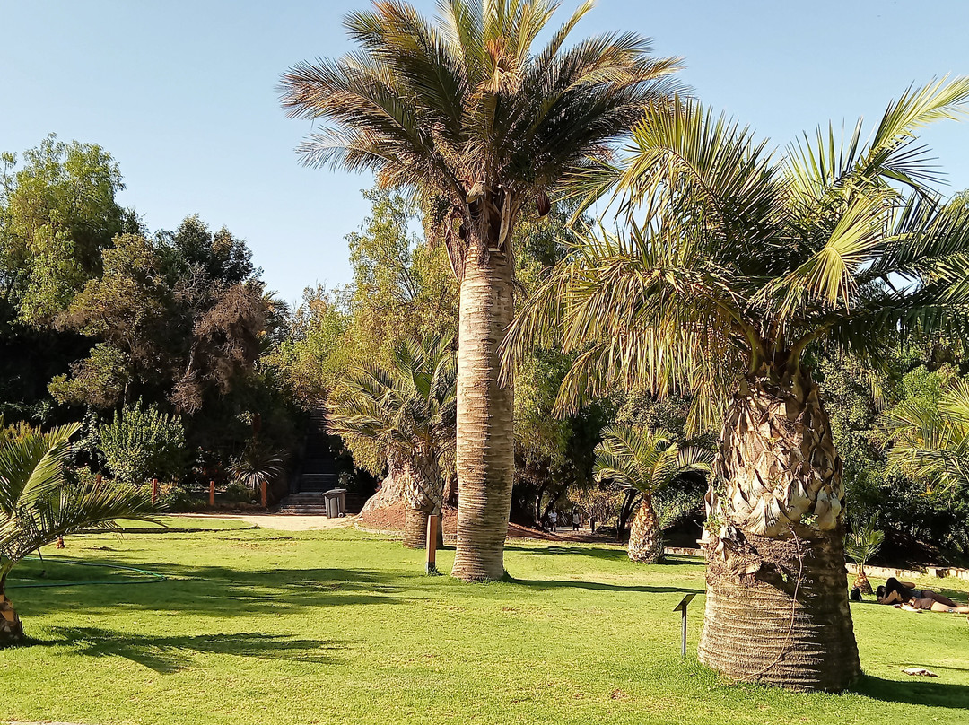 Jardín Botánico Mapulemu-圣地亚哥必去景点