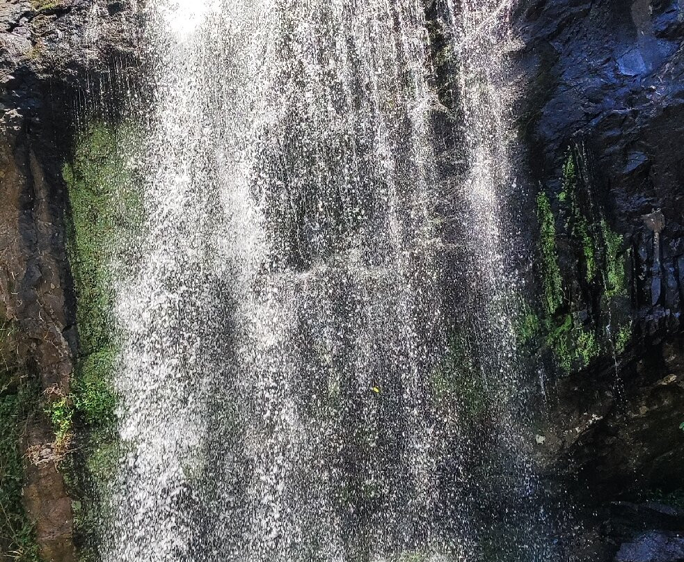 Ecoparque Sperry-卡内拉必去景点