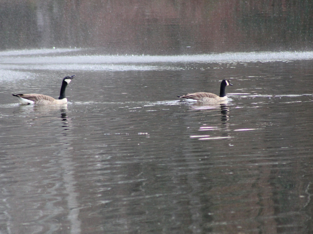 Aldridge Gardens-Hoover必去景点