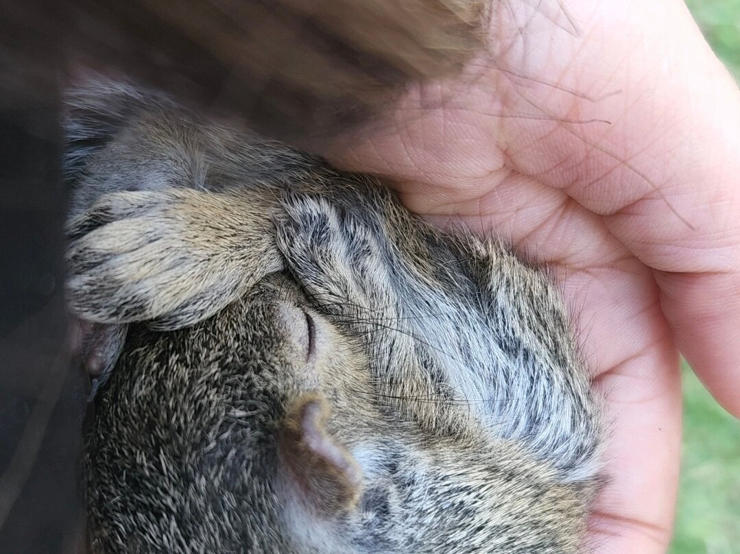 Everglades Outpost Wildlife Refuge-霍姆斯特德必去景点