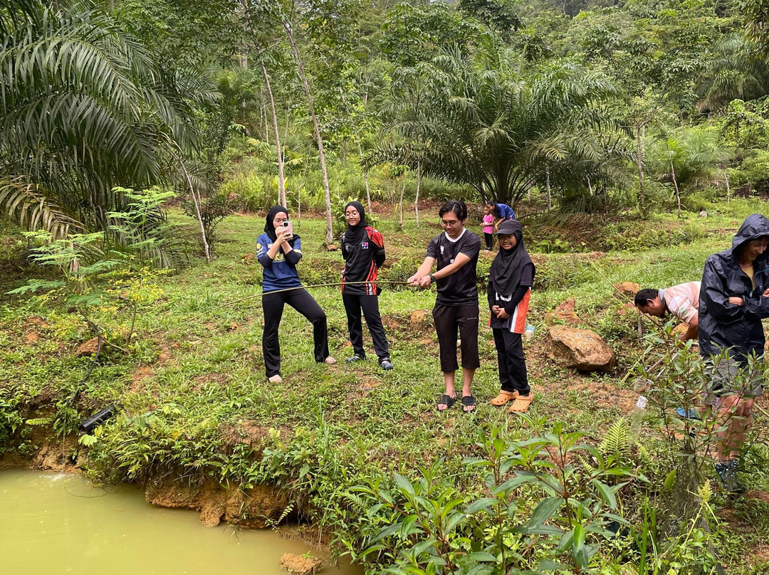 Endau Rompin National Park-柔佛必去景点