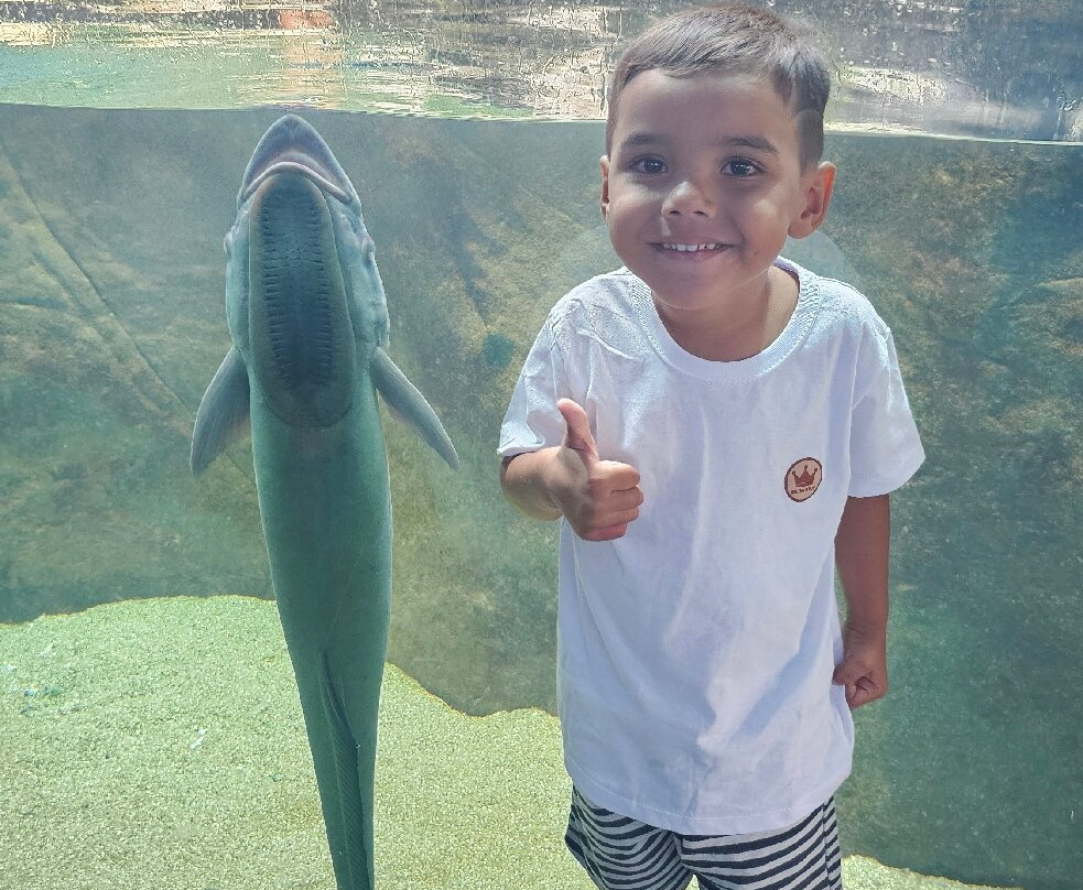 Ubatuba Aquarium-乌巴图巴必去景点