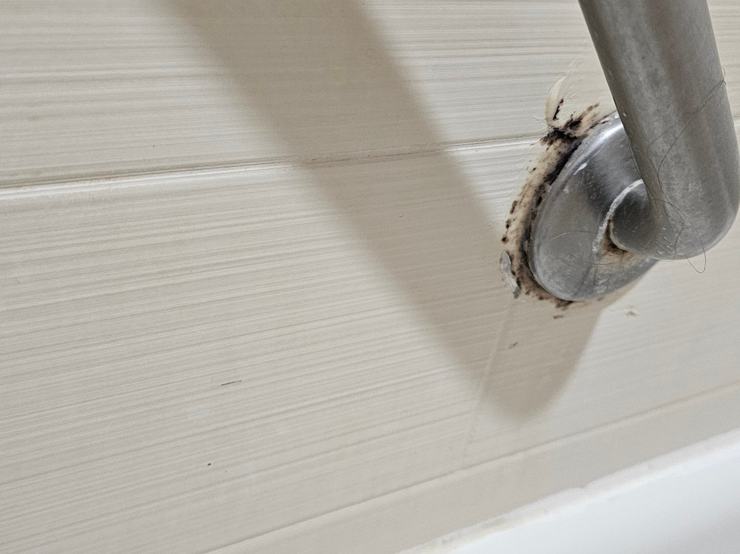 AmericInn by Wyndham Albert Lea主图