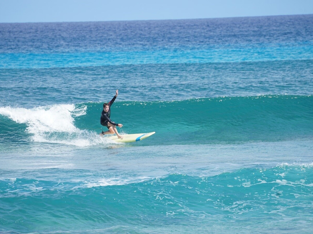 Bahamas Out Island Adventures景点图片