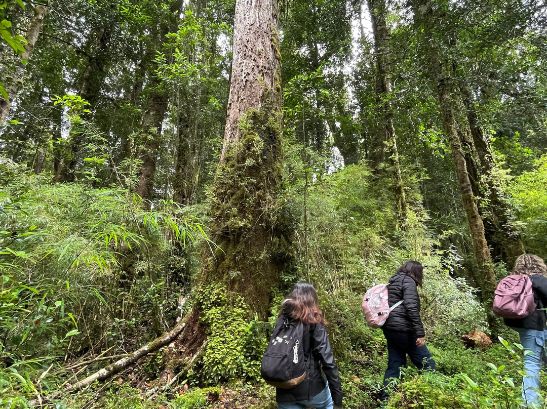 Magical Tours Chile-蒙特港必去景点