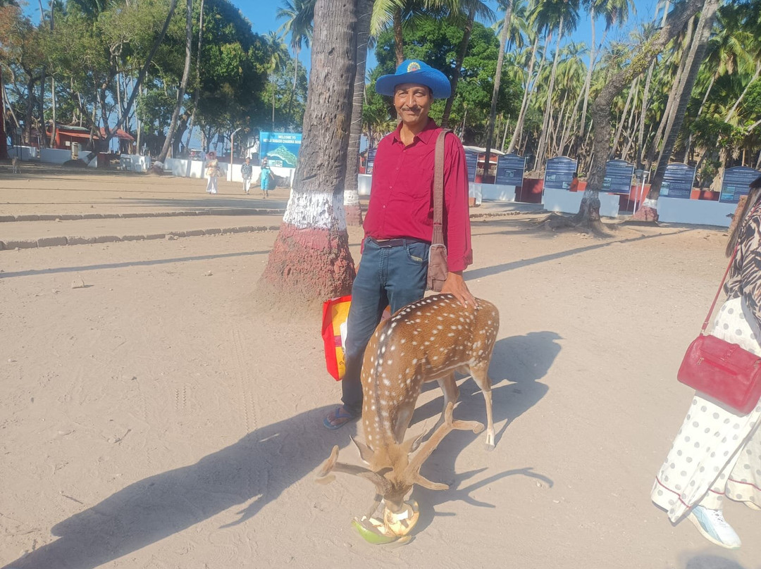 Discover Andaman Holidays Pvt Ltd-布莱尔港必去景点