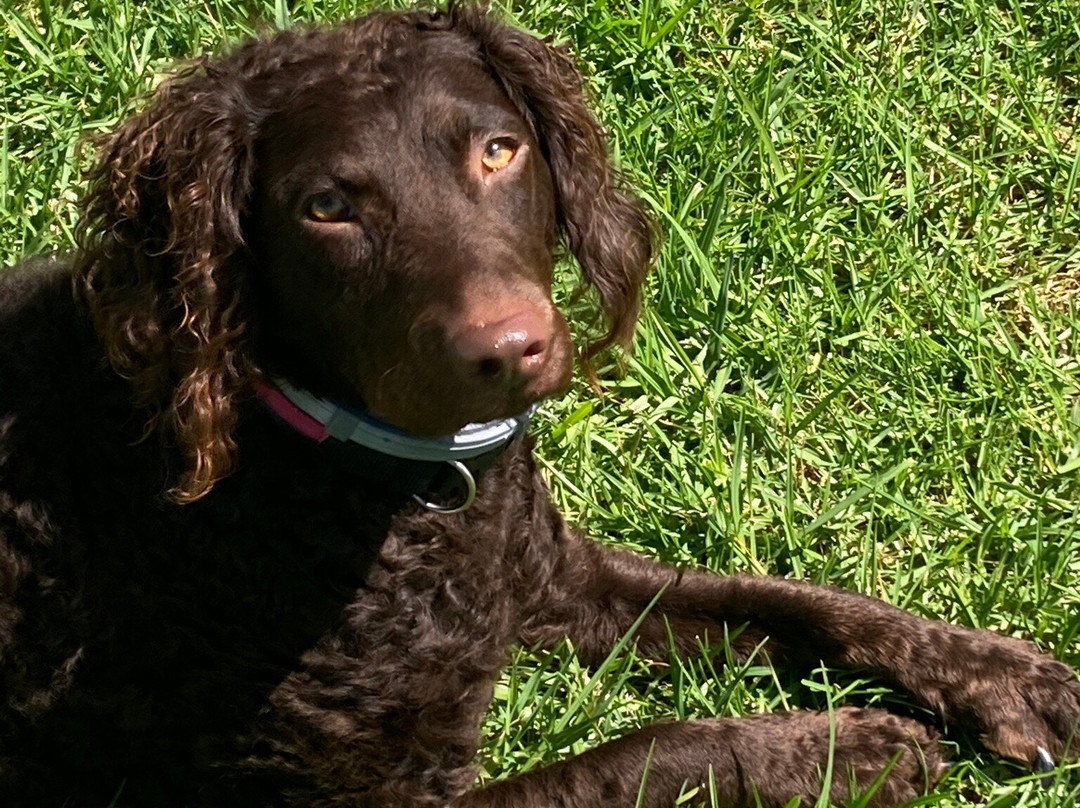 Moruya Waterfront Hotel Motel主图