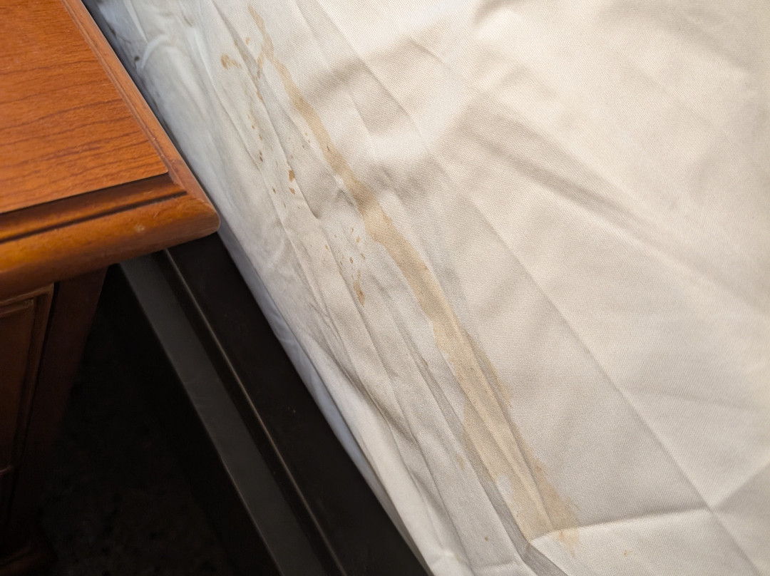 Dream Inn by AmeriVu主图