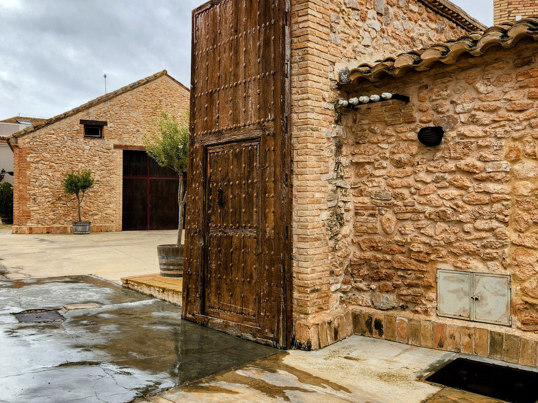 Bodega Mustiguillo景点图片