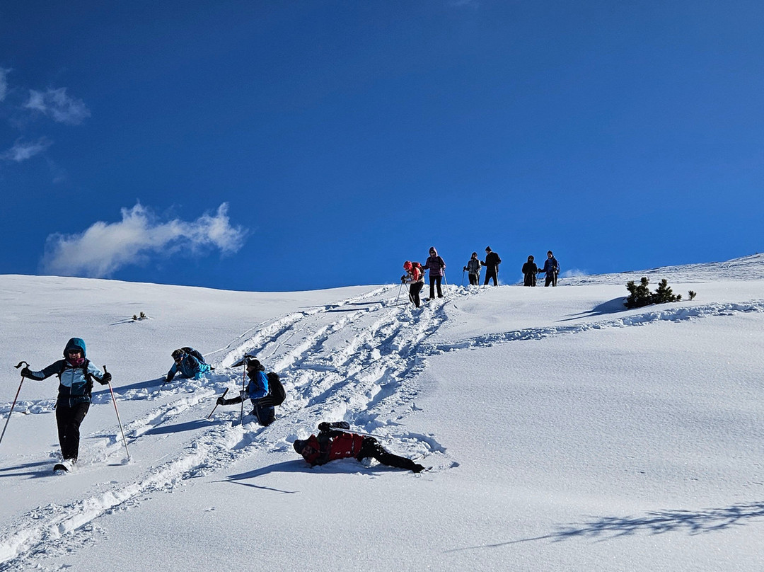 Premium Wanderhotel Steirerhof主图