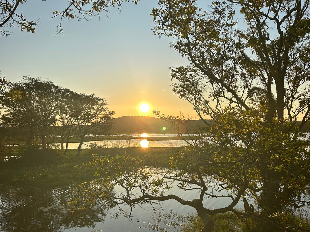 Mahaweli Tours & Holidays景点图片