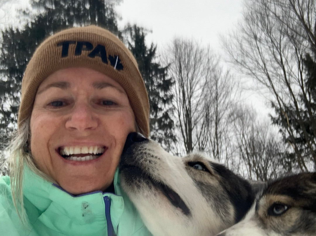 Winterdance Dogsled Tours景点图片