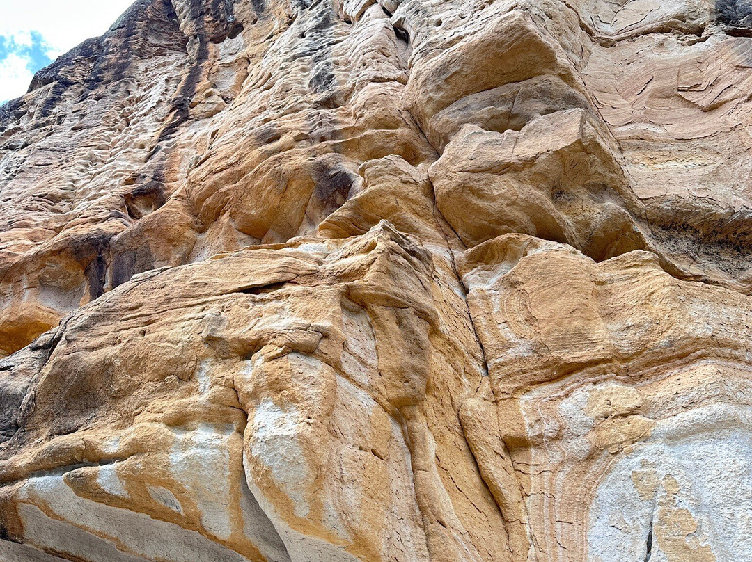 White Rock-Spring Mtn Conservation Estate景点图片