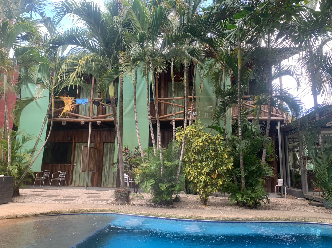 El Reinas by Sugar's Monkey主图