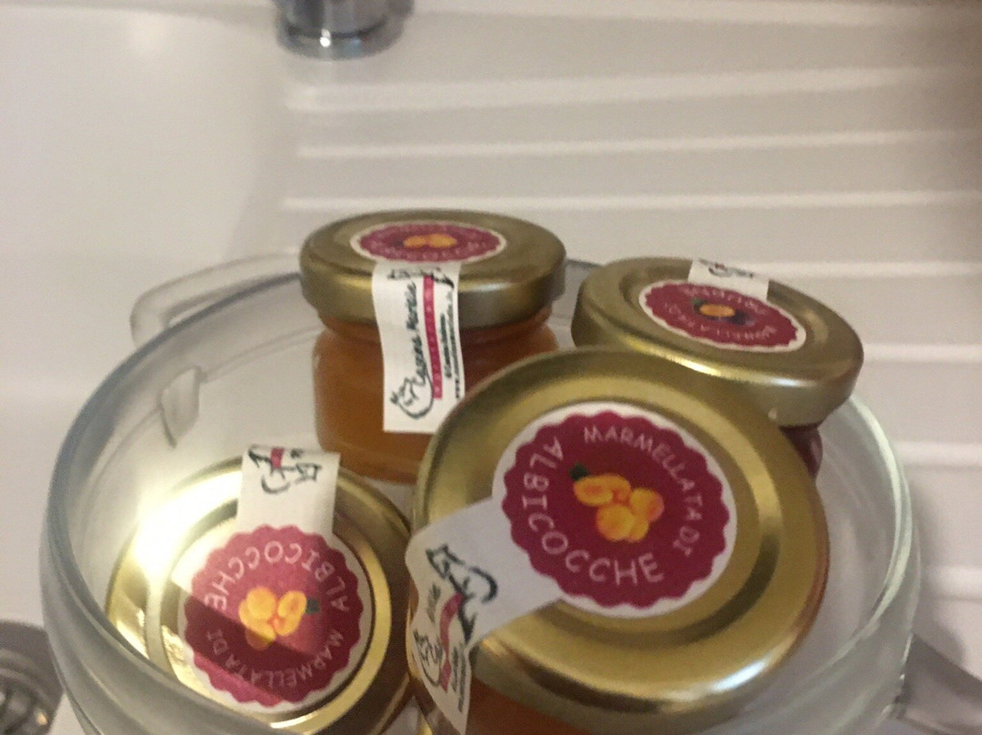 Agriturismo Cascina Mariale主图