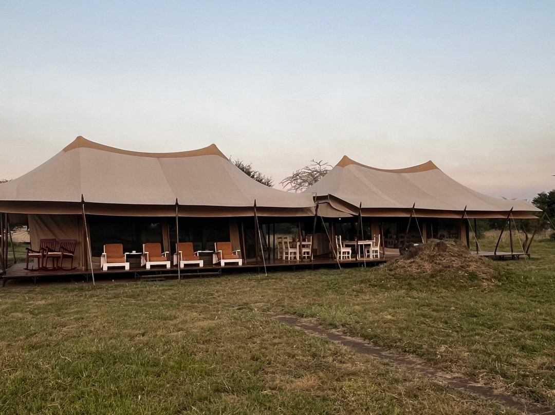 Go-Giraffe Safaris Limited-Dar es Salaam必去景点