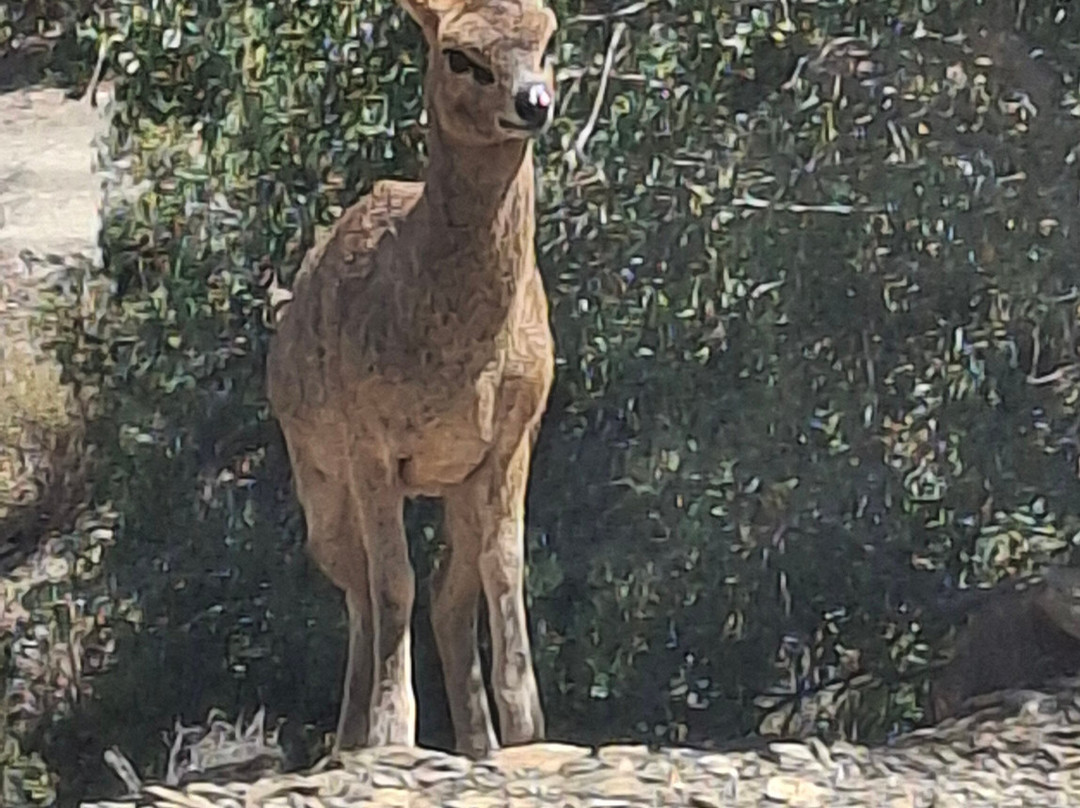 John's Tours-Prince Albert必去景点
