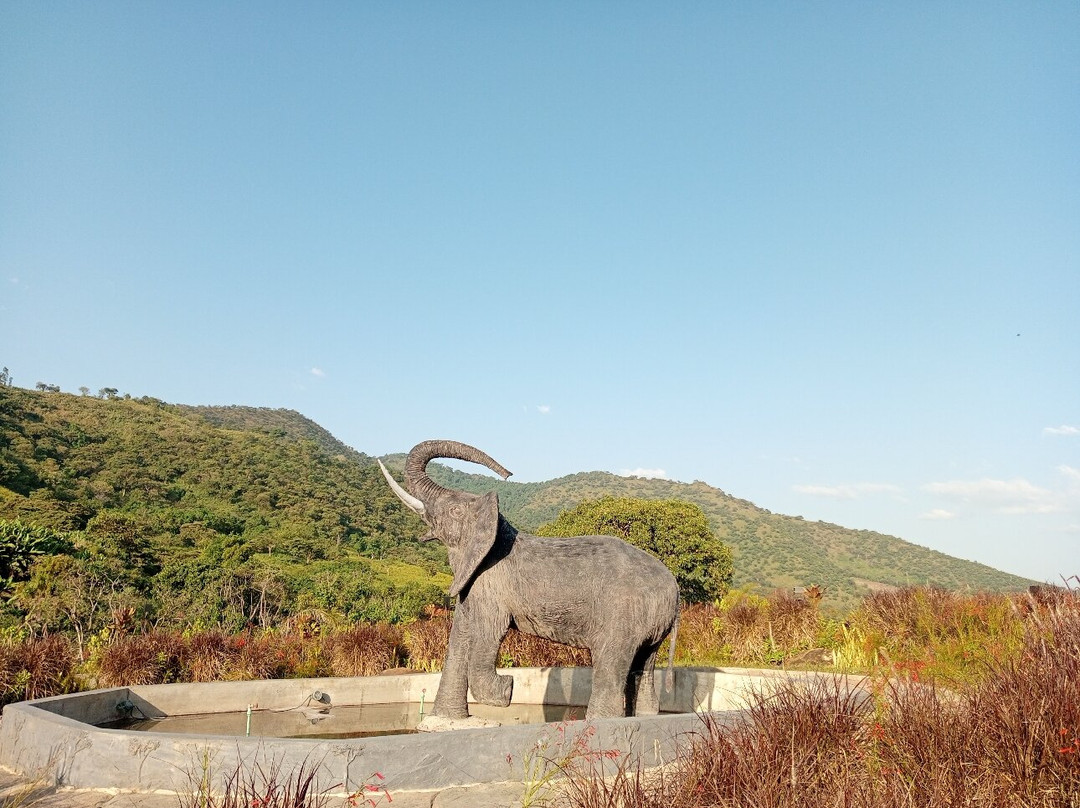 Chebera Churchura National Park景点图片