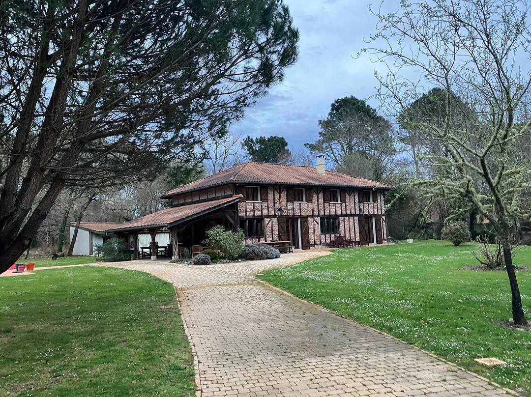 Le Domaine de Petiosse主图