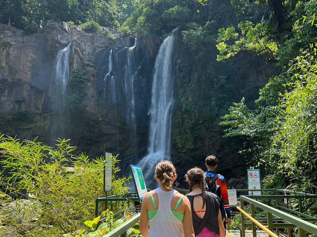 Tropical Waterfalls Tour景点图片