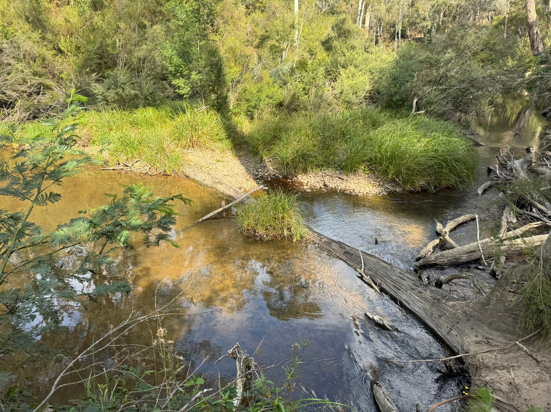 Wirilda Environment Park-Yallourn North必去景点