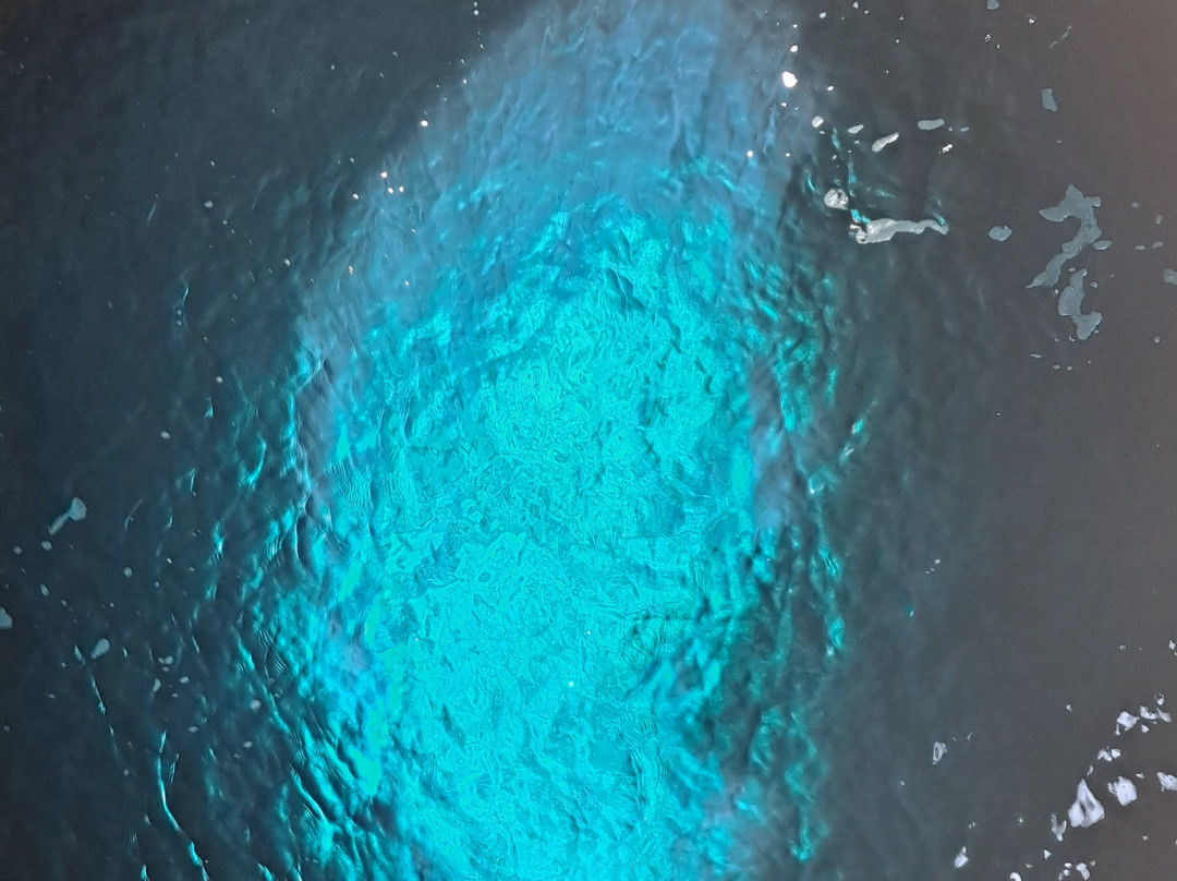 Tony Tours-Espargos必去景点