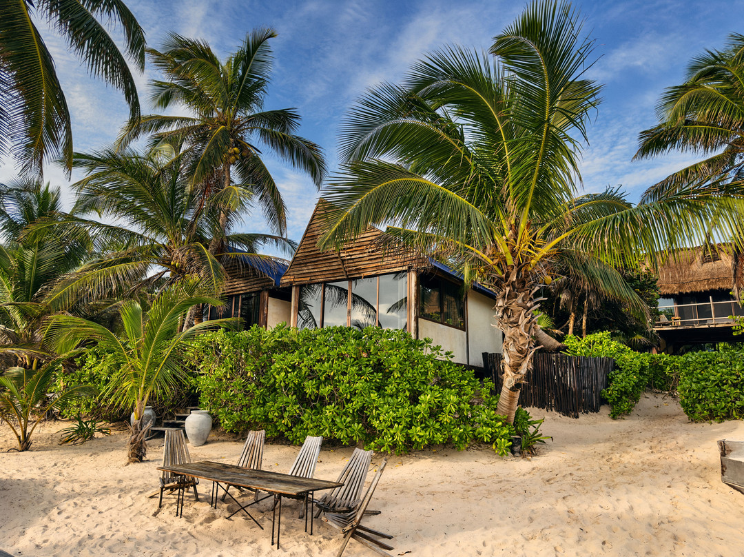 Libelula Tulum主图