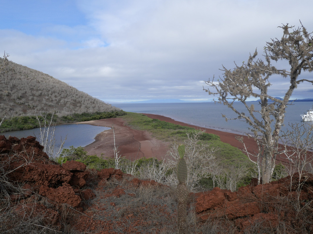 Rabida Island-Rabida必去景点