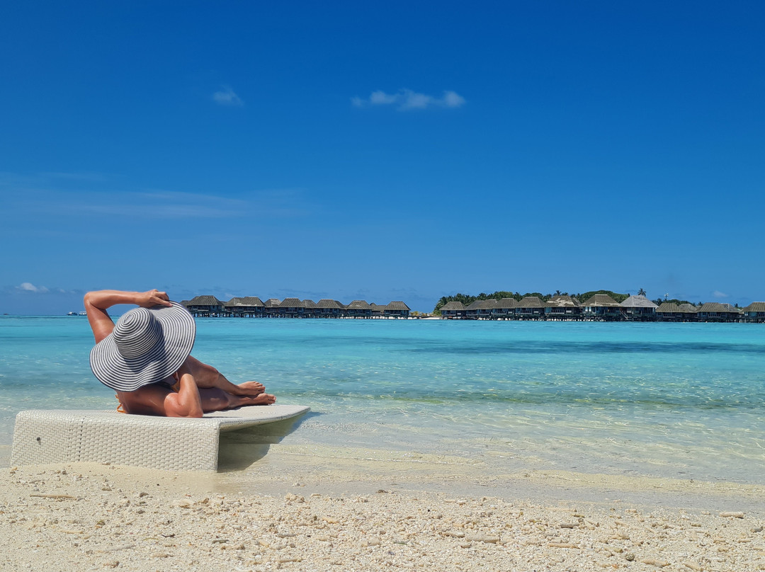 The Bilimbi Guesthouse & Inn主图